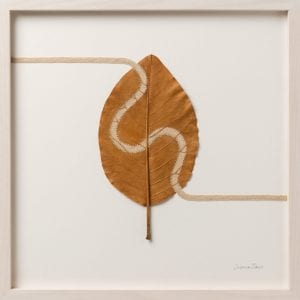 foglie di Susanna Bauer